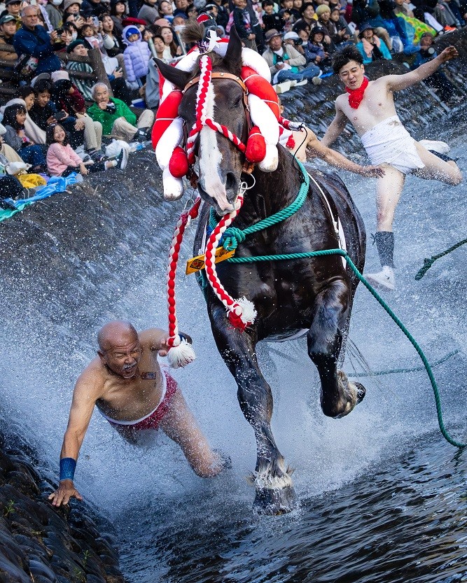 部門賞（馬）「気迫」