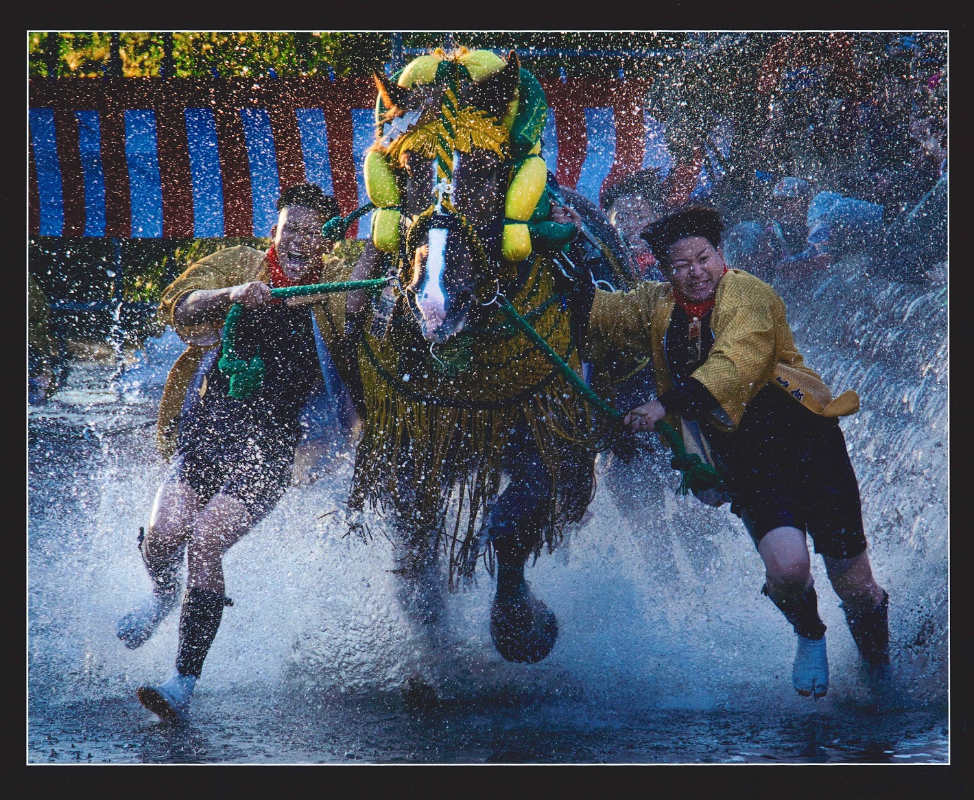 準グランプリ「飛沫を上げて疾走」